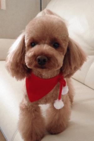 IMG_4937.jpgのサムネイル画像