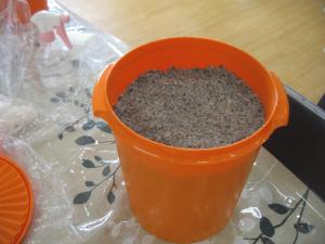 2016-03-14 12.59.42.jpg