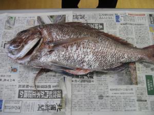 2016-04-26 12.22.05.jpg