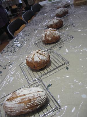 2016-06-14 12.56.04.jpg