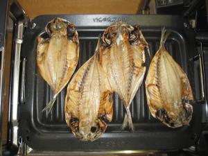 2016-07-27 11.36.25.jpg