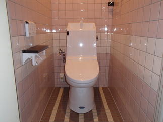 アメージュZ　手洗いタイプ