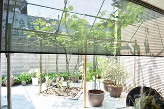 スタイルシェード