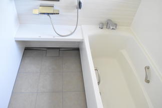 タカラ　レラージュ