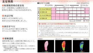 あんから　主な特徴