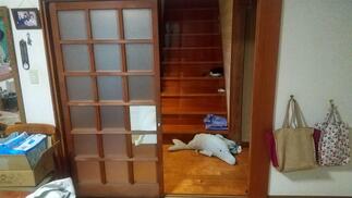 台所出入口ドアbefore