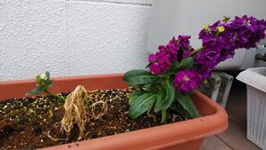 2021-04-05 15.24.14.jpg