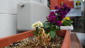 2021-04-13 13.12.53.jpg