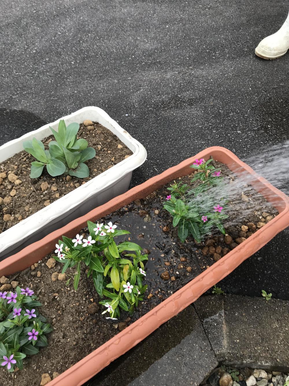 IMG_7196.jpgのサムネイル画像