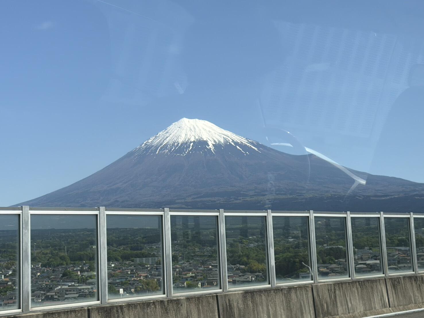 S__13484037.jpg