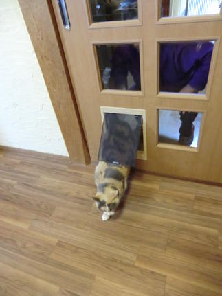 大切なネコちゃんのために、ネコちゃん用出入り口