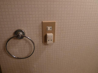既存の脱衣室のタオルリングとスイッチプレート