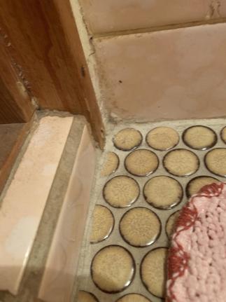 床：入口段差（施工前）