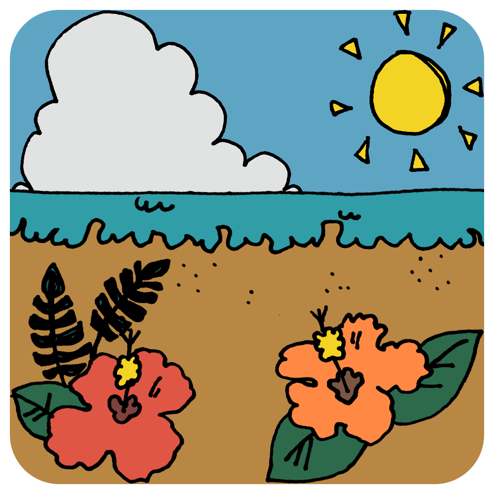 フリクラ・ハイビスカスと空と海のカラーイラスト.png