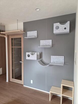 【鈴鹿市】猫ちゃんも快適！おうちまるっとリノベーション