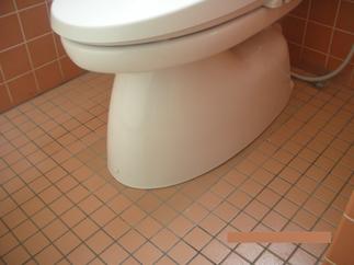 完工 洋便器+ｼｬﾜｰﾄｲﾚ　近景