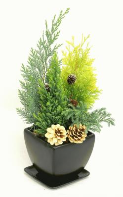 グリーンバイキング