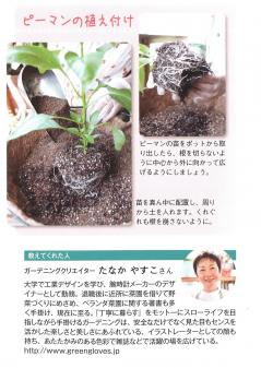 ガーデニングを楽しもう！2.jpg