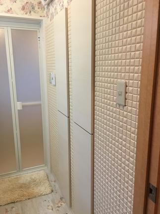 洗面背面エコカラット　パールマスク