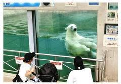 とくしま動物園　2020 作品.jpg