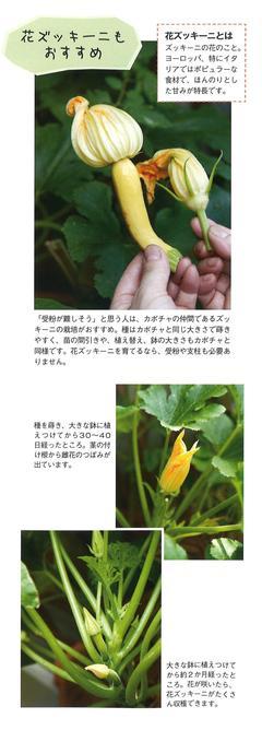 2021春号 ガーデニング2.jpg