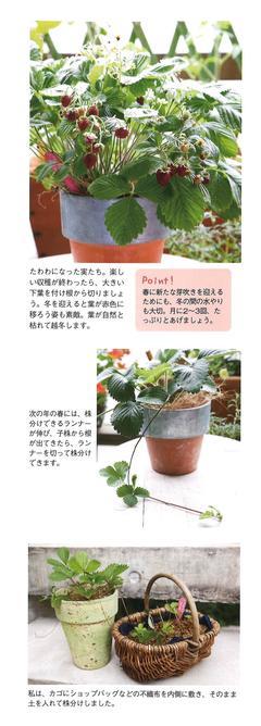 21.夏号 ガーデニング2.jpg