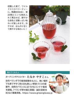 21.夏号 ガーデニング3.jpg