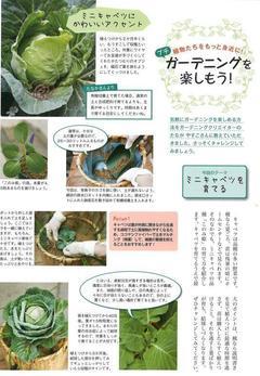 2021 秋号ガーデニング1.jpg