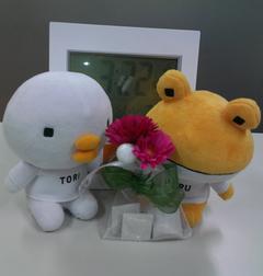 ぱっとりとエコカラット インスタ.JPG