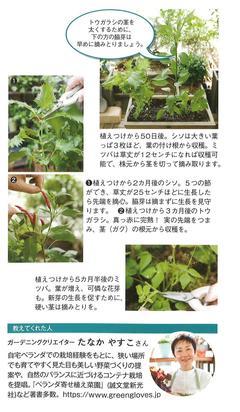 2022春号 ガーデニング3.jpg
