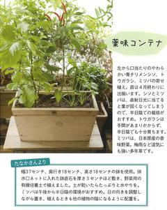 2022春号 ガーデニング2.jpg