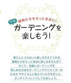 2022夏号 ガーデニング1.jpg