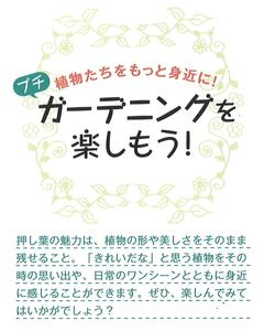 2022-23冬号 ガーデニング1.jpg