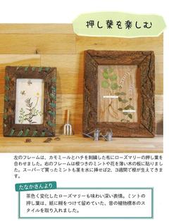 2022-23冬号 ガーデニング2.jpg