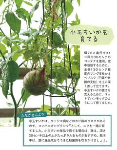 2023. 春号 ガーデニング2.jpg