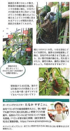 2023. 春号 ガーデニング3.jpg