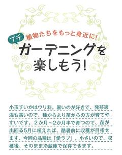 2023. 春号 ガーデニング1.jpg