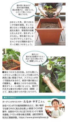 2023.夏号_ガーデニング3.jpg