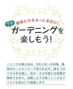 2023.秋号_ガーデニング1.jpg
