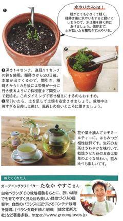 2024.春号_ガーデニング3.jpg