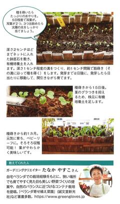 2024 情報誌秋号 ガーデニング4 .jpg