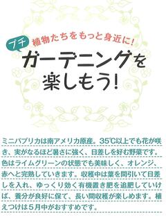 2025.春号 ｶﾞｰﾃﾞﾆﾝｸﾞ1 .jpg