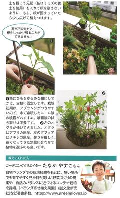 2025.春号 ｶﾞｰﾃﾞﾆﾝｸﾞ3 .jpg