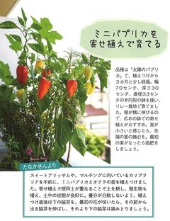 2025.春号 ｶﾞｰﾃﾞﾆﾝｸﾞ2 .jpg