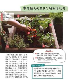 1-1 2025.夏号 ガーデニング2 .jpg