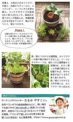 2025.秋号 ガーデニング3 .jpgのサムネイル画像