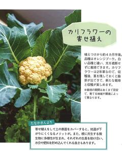 2025.秋号 ガーデニング2 .jpgのサムネイル画像