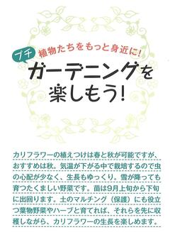 2025.秋号 ガーデニング1 .jpgのサムネイル画像
