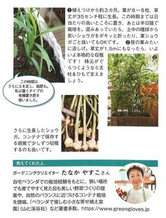情報誌春号2026ガーデニング3.jpg