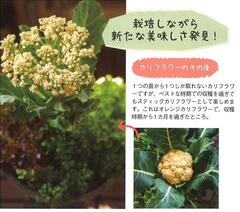 情報誌＿ガーデニング3.jpg